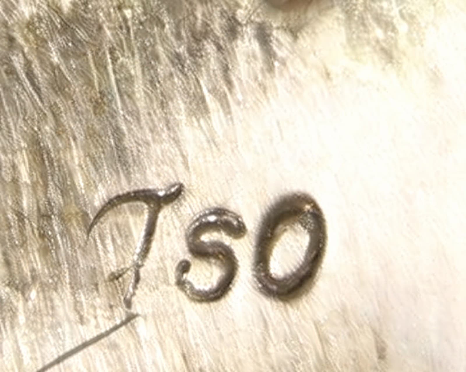 Hallmark of Joe Tso