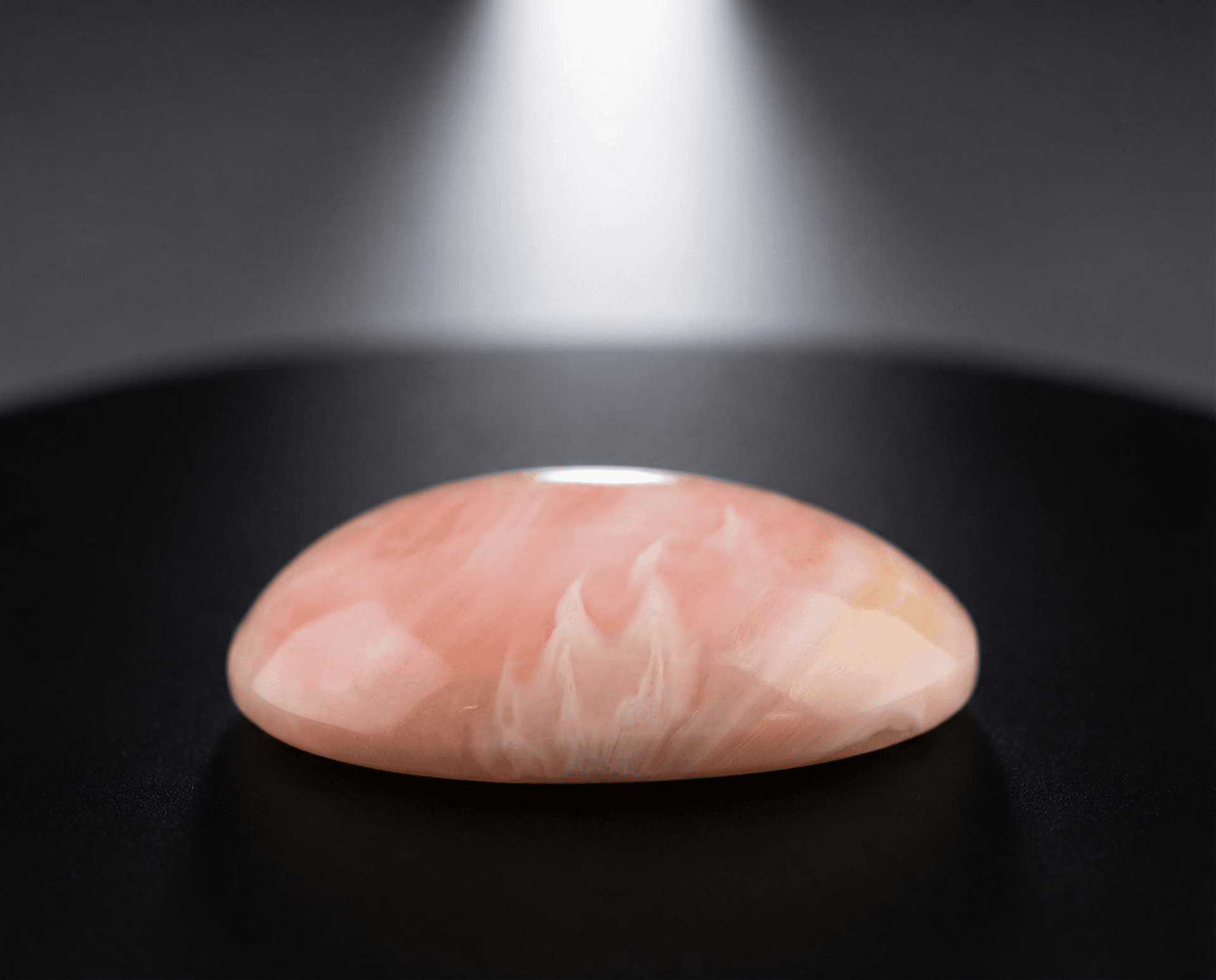 Polished Conch Shell cabochon