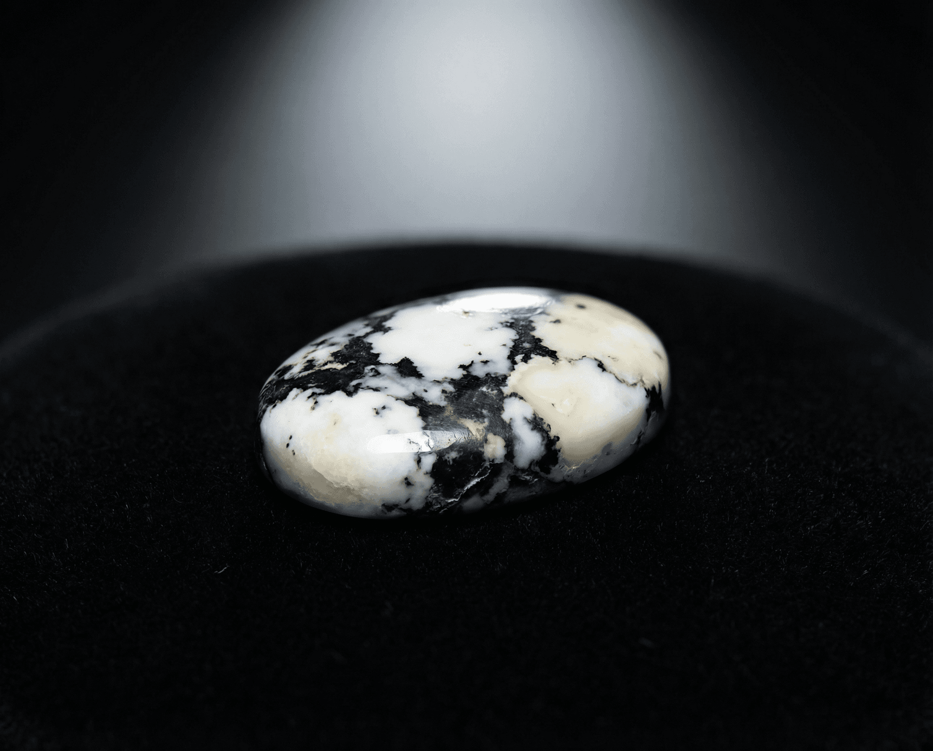 Polished White Buffalo cabochon