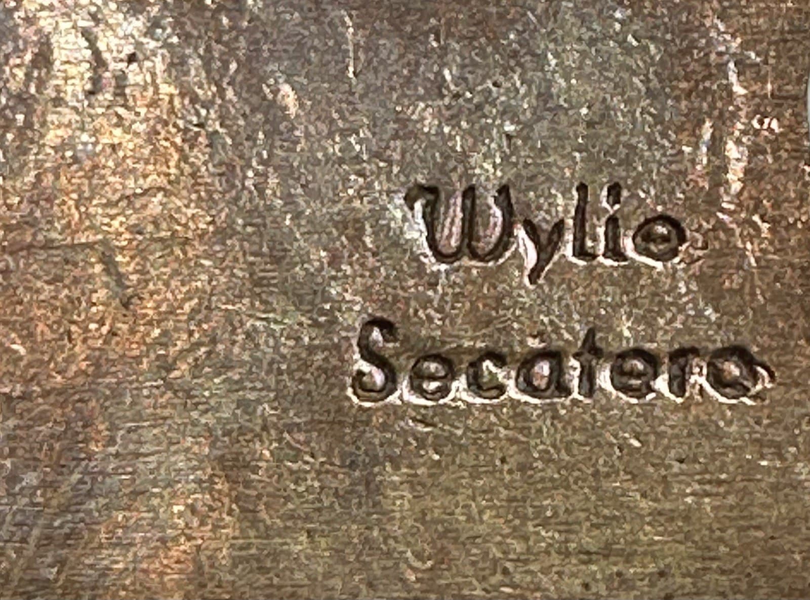 Hallmark of Wylie Secatero, reading Wylie Secatero