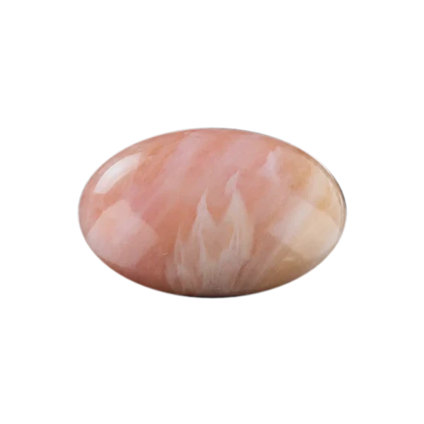 A conch shell specimen